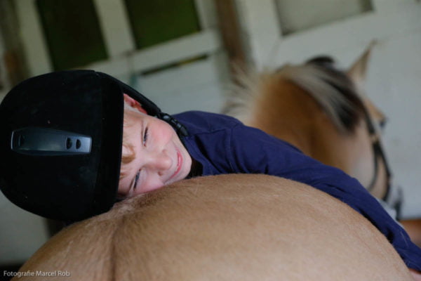 Paardencoaching in Noord Holland