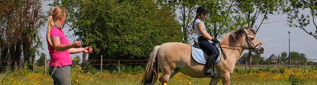 paardentherapie in Noord holland