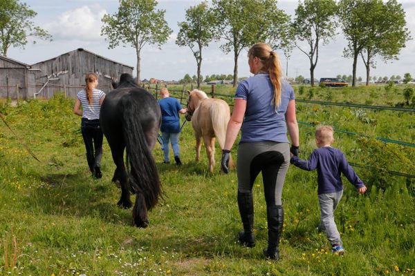 Dagbesteding met paarden voor kinderen